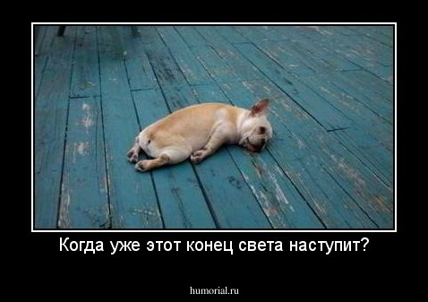 Когда уже этот конец света наступит?
