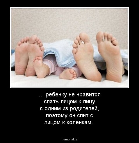 
... ребенку не нравится спать лицом к лицу с одним из родителей, поэтому он спит с лицом к коленкам.

