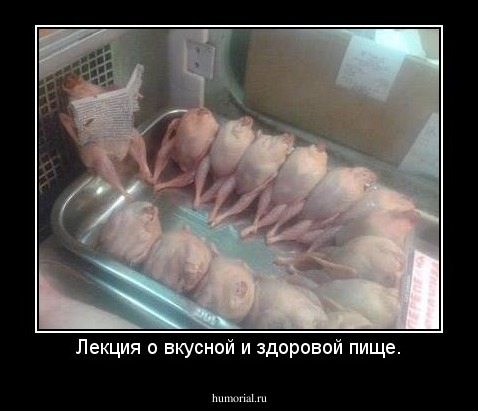 Лекция о вкусной и здоровой пище.