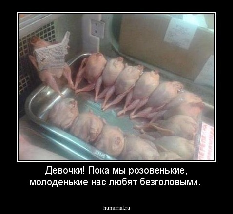 Девочки! Пока мы розовенькие, молоденькие нас любят безголовыми.