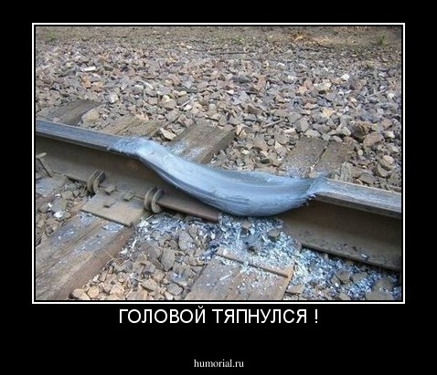 ГОЛОВОЙ ТЯПНУЛСЯ !