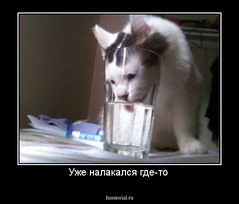 Уже налакался где-то 