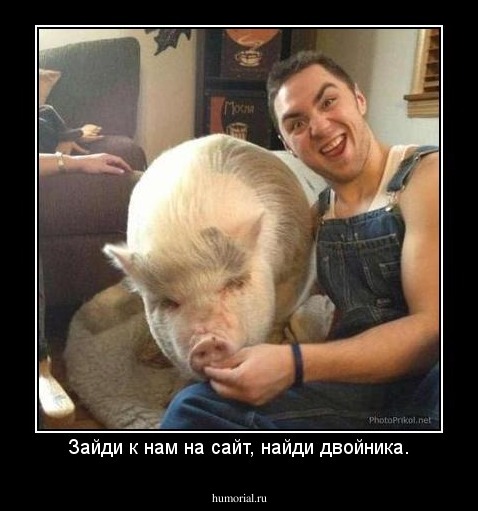 Зайди к нам на сайт, найди двойника.