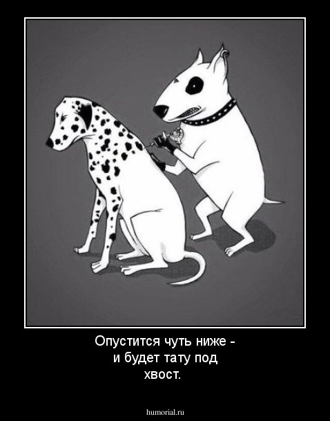 Опустится чуть ниже - и будет тату под хвост.