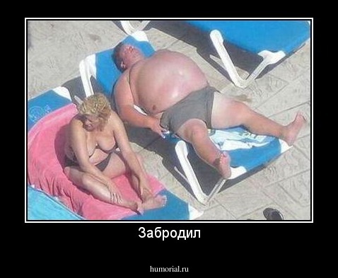 Забродил