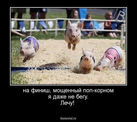 на финиш, мощенный поп-корном я даже не бегу.  Лечу!