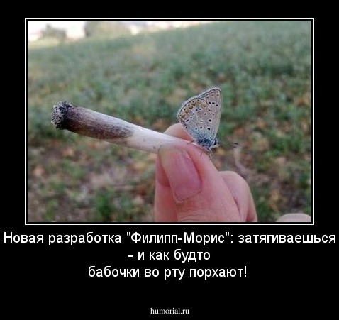 Новая разработка "Филипп-Морис": затягиваешься - и как будто бабочки во рту порхают!