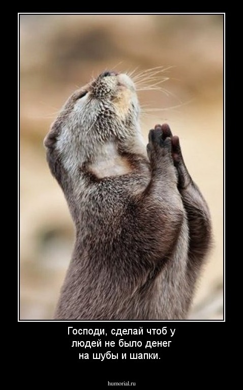 Господи, сделай чтоб у людей не было денег на шубы   и шапки.
