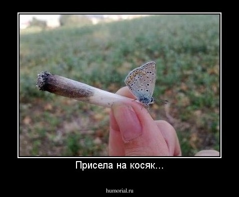 Присела на косяк...