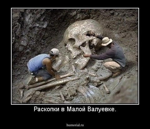 Раскопки в Малой Валуевке.