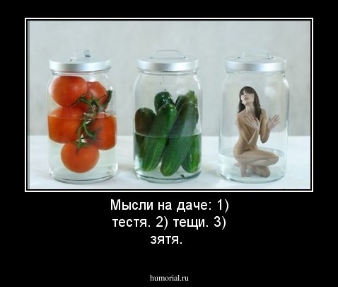 Мысли на даче: 1) тестя. 2) тещи. 3) зятя.