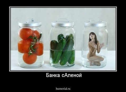 Банка сАленой