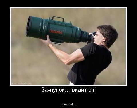 За-лупой... видит он!
