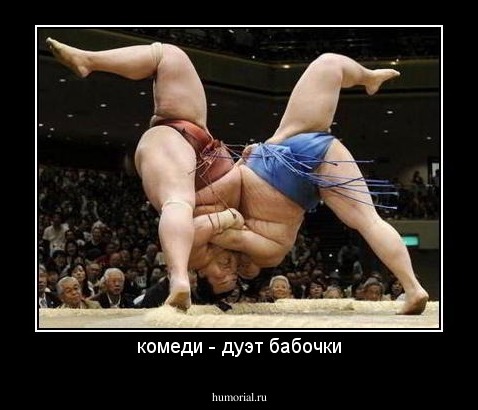 комеди - дуэт бабочки