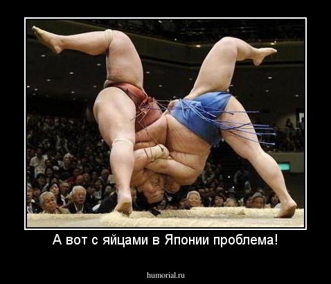 А вот с яйцами в Японии проблема!