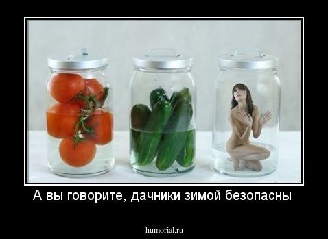 А вы говорите, дачники зимой безопасны 