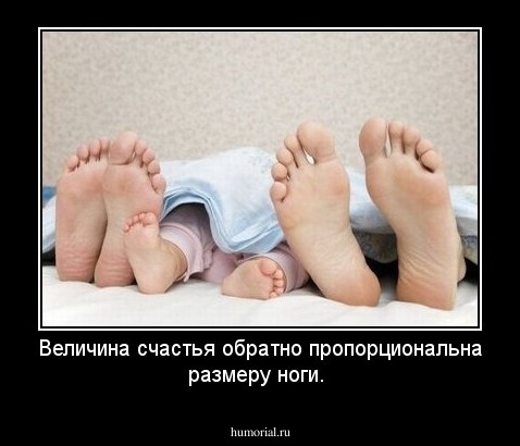  Величина счастья обратно пропорциональна размеру ноги.