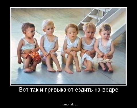 Вот так и привыкают ездить на ведре