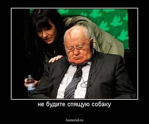 не будите спящую собаку