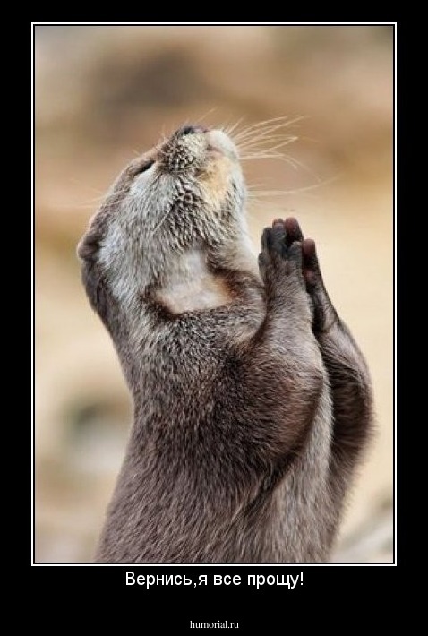 Вернись,я все прощу!