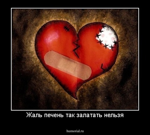 Жаль печень так залатать нельзя