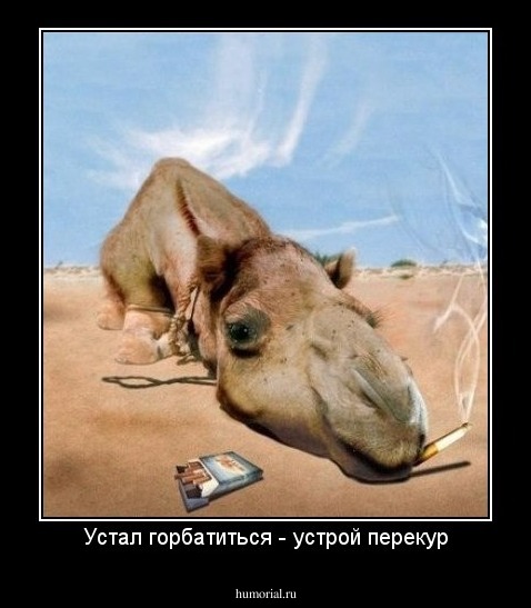 Устал горбатиться - устрой перекур