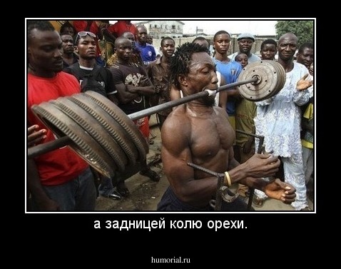 а задницей колю орехи.