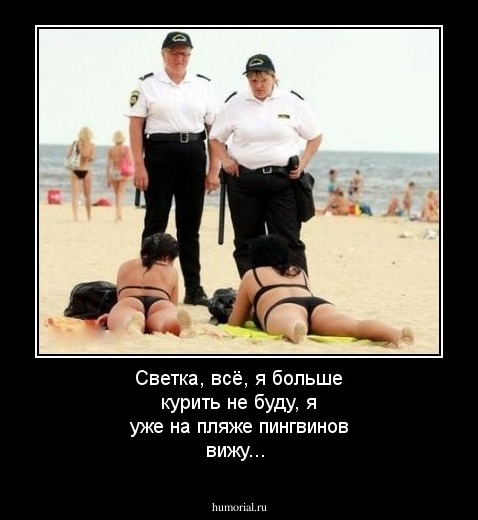 Светка, всё, я больше курить не буду, я уже на пляже пингвинов вижу...