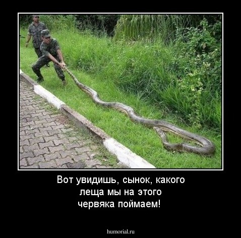 Вот увидишь, сынок, какого леща мы на этого червяка поймаем!