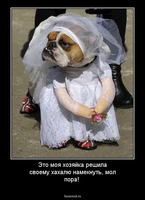 Это моя хозяйка решила своему хахалю намекнуть, мол пора!