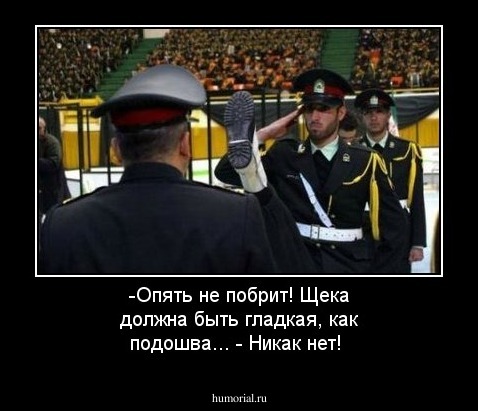 -Опять не побрит! Щека должна быть гладкая, как подошва...  - Никак нет!