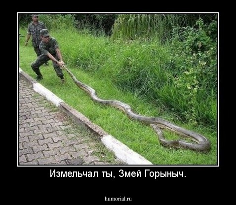 Измельчал ты, Змей Горыныч.