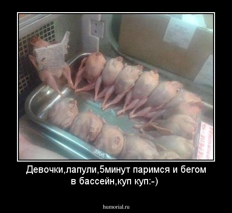 Девочки,лапули,5минут паримся и бегом в бассейн,куп куп:-)