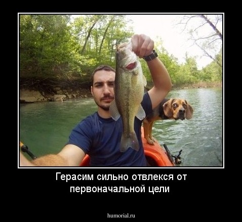 Герасим сильно отвлекся от первоначальной цели