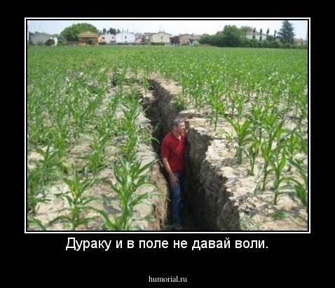Дураку и в поле не давай воли.