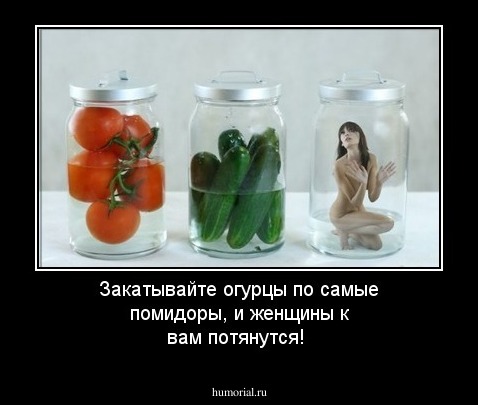 Закатывайте огурцы по самые помидоры, и женщины к вам потянутся!