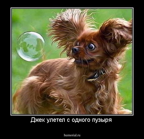 Джек улетел с одного пузыря 