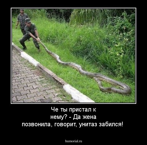 Че ты пристал к нему? - Да жена позвонила, говорит, унитаз забился!