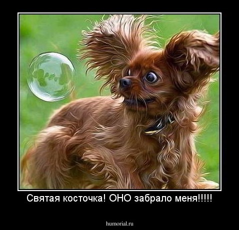 Святая косточка! ОНО забрало меня!!!!!