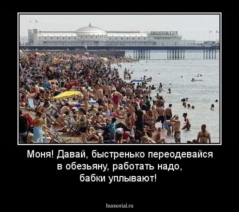 Моня! Давай, быстренько переодевайся в обезьяну, работать надо, бабки уплывают!