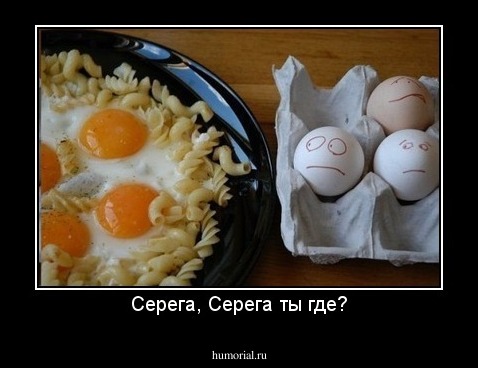 Серега, Серега ты где?