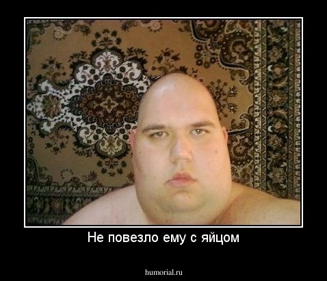 Не повезло ему с яйцом