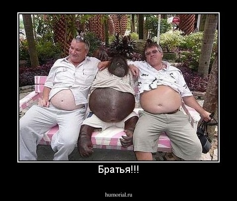 Братья!!!