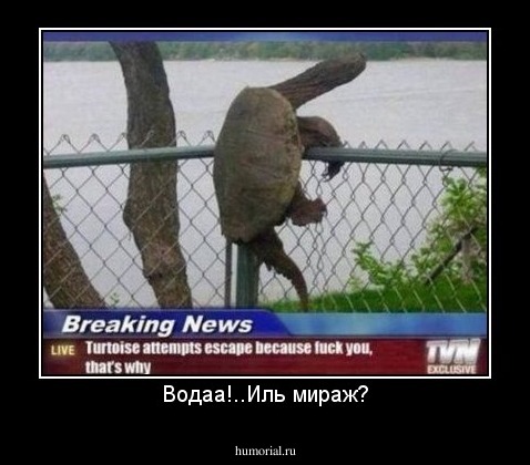 Водаа!..Иль мираж?