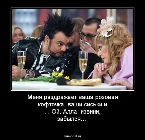 Меня раздражает ваша розовая кофточка, ваши сиськи и ... Ой, Алла, извини, забылся...