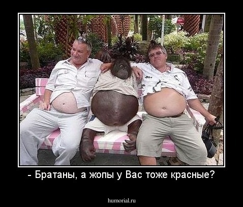 - Братаны, а жопы у Вас тоже красные?