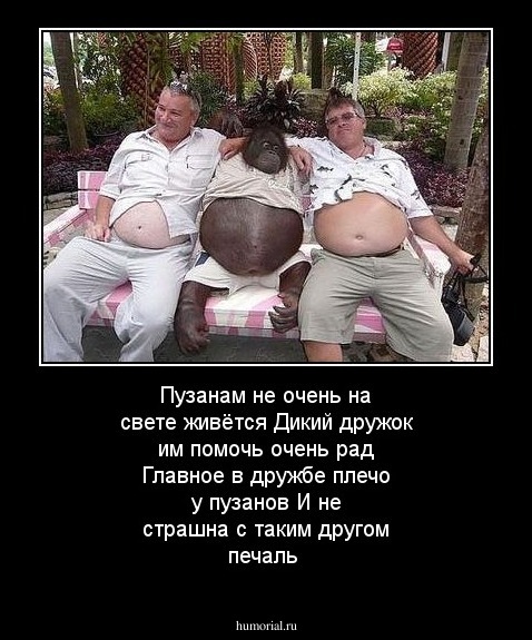 Пузанам не очень на свете живётся
Дикий дружок им помочь очень рад
Главное в дружбе плечо у пузанов
И не страшна с таким другом печаль 
