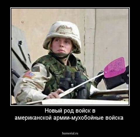 Новый род войск в американской армии-мухобойные войска