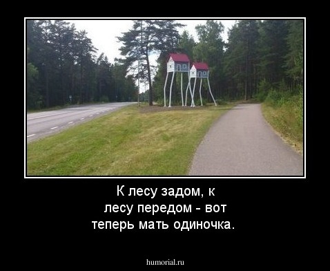 К лесу задом, к лесу передом - вот теперь мать одиночка.