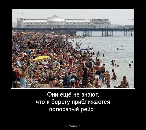 Они ещё не знают, что к берегу приближается полосатый рейс.